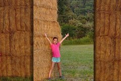 Haystacks Near Clinton Lumber Mill