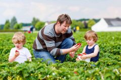 Tewksbury Family Food Farming Group