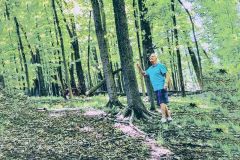 Man Walking Through Clinton Organic Farm