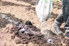 Clinton Family Food Farming Process