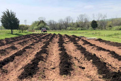 Field on Bound Brook Organic Farming Plot