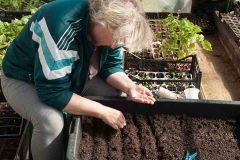 Woman Inspecting Organic Farming Soil in Princeton, NJ