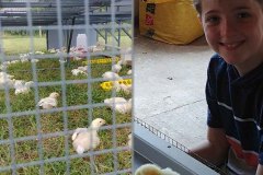 Boy with Free Graze Poultry in Tewksbury, NJ