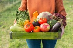 Branchburg, NJ Organic Vegetables on Organic Farm