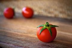 Small Organic Tomato grown on CSA Farm in Princeton