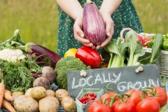 Locally Grown Organic Vegetables in  Princeton