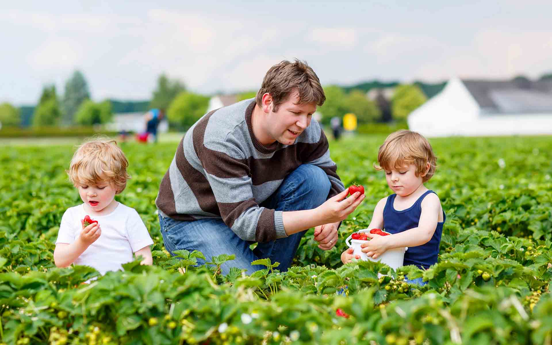 dad with children on farm for Family Food Farming with Organic Farm Vegetables in Bound Brook, Branchburg, Clinton, Flemington, Princeton, Tewksbury