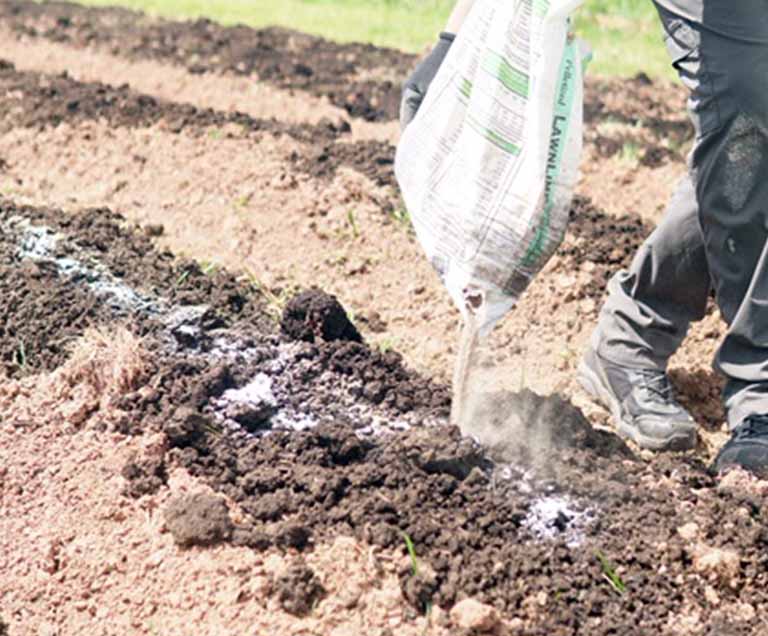 Spreading Soil for Organic Farming in Princeton, NJ