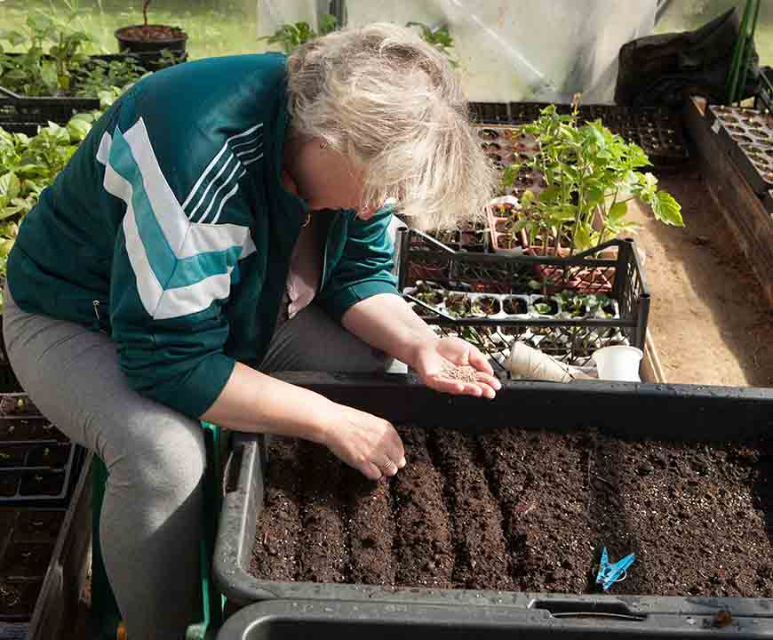 Soil Inspection for Organic Farm Specializing in Family Food Farming in Clinton