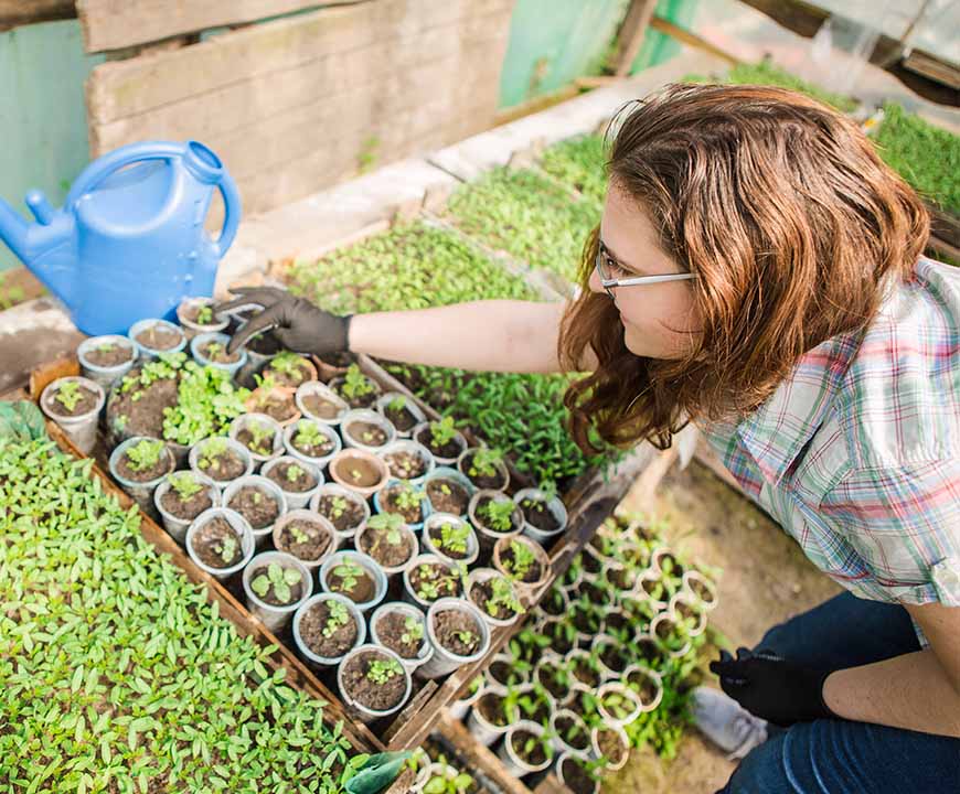 woman planting seeds for CSA farming in Clinton